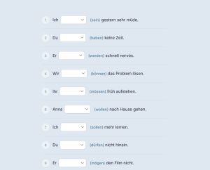 Capture d'écran des exercices de grammaire